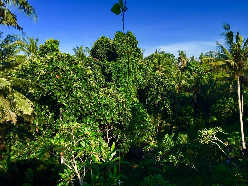 Tirta Arum Ubud Eksteriør billede